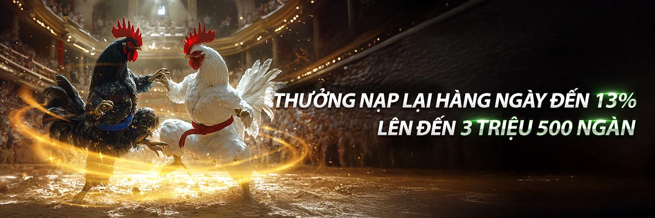 Sảnh Đá Gà 7789bet chính thức, nơi diễn ra các trận đấu gà kịch tính
